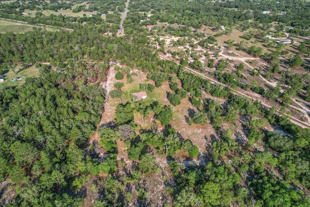 10655 N Party Ave, Dunnellon, FL 34433 - aerial view of property's location