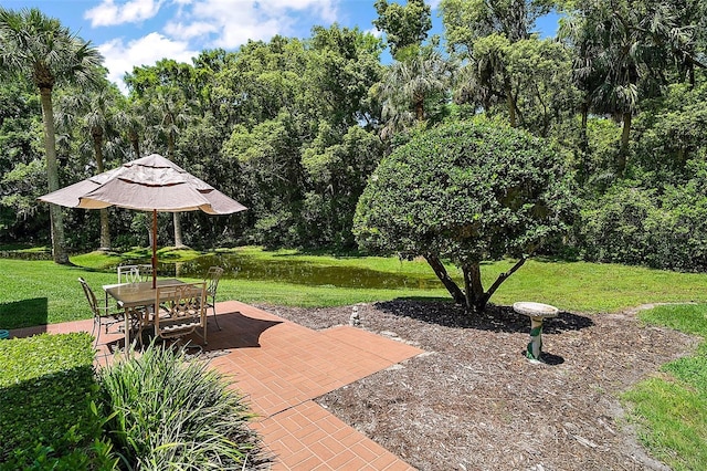 621 High Point Dr, Mount Dora, FL 32757 - photo 45