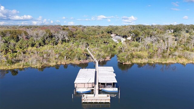 621 High Point Dr, Mount Dora, FL 32757 - photo 48
