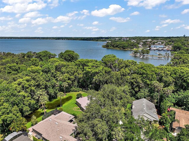 621 High Point Dr, Mount Dora, FL 32757 - photo 37