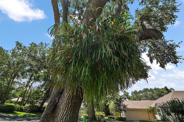 621 High Point Dr, Mount Dora, FL 32757 - photo 41