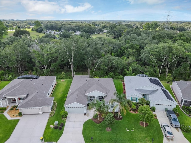 4581 Shenandoah River Trl, Leesburg, FL 34748 - aerial view of residential area