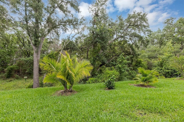 4581 Shenandoah River Trl, Leesburg, FL 34748 - view of yard