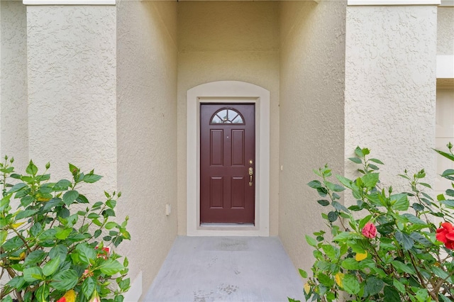 2424 Plumadore Dr, Grand Island, FL 32735 - view of exterior entry featuring stucco siding
