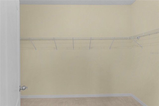 2424 Plumadore Dr, Grand Island, FL 32735 - spacious closet featuring carpet