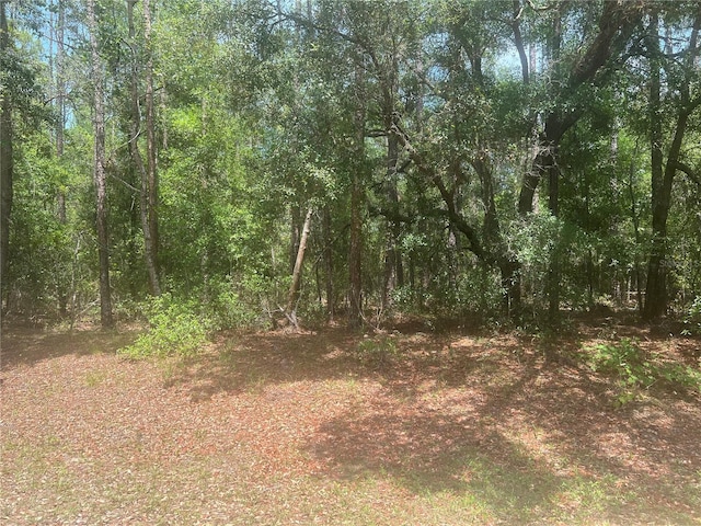 8729 N Wallingford Ave, Dunnellon, FL 34434