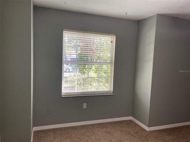 825 Mary Frank Ct, Mount Dora, FL 32757 - photo 13