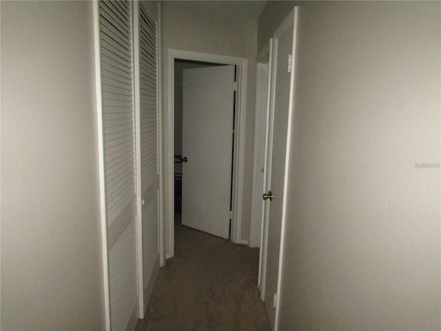 2501 Sheridan Rd, Mount Dora, FL 32757 - hall featuring carpet floors