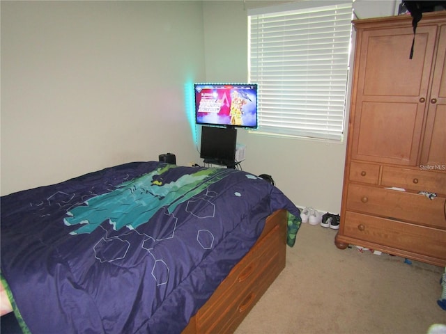 2501 Sheridan Rd, Mount Dora, FL 32757 - bedroom with carpet floors