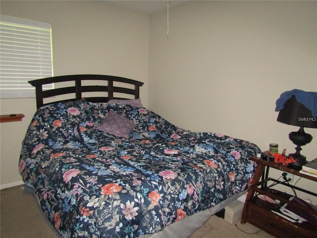 2501 Sheridan Rd, Mount Dora, FL 32757 - view of carpeted bedroom