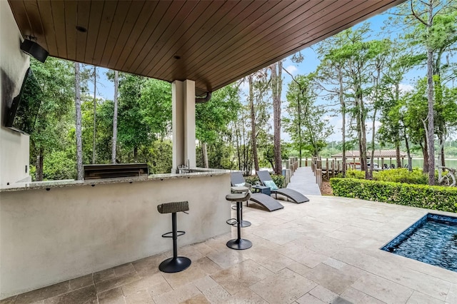 10122 Royal Island Ct, Orlando, FL 32836 - view of patio / terrace featuring an outdoor pool and view of wooded area