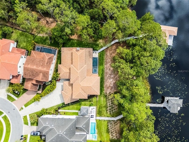 10122 Royal Island Ct, Orlando, FL 32836 - aerial view of a nearby body of water