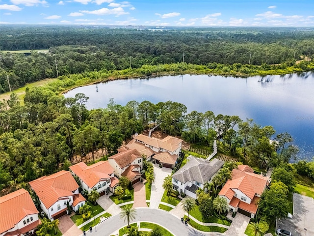 10122 Royal Island Ct, Orlando, FL 32836 - aerial perspective of suburban area with a heavily wooded area and a large body of water