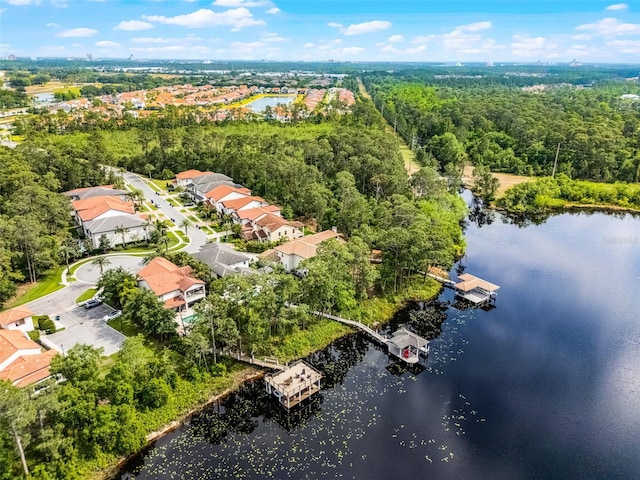 10122 Royal Island Ct, Orlando, FL 32836 - aerial view of residential area with a nearby body of water and a forest