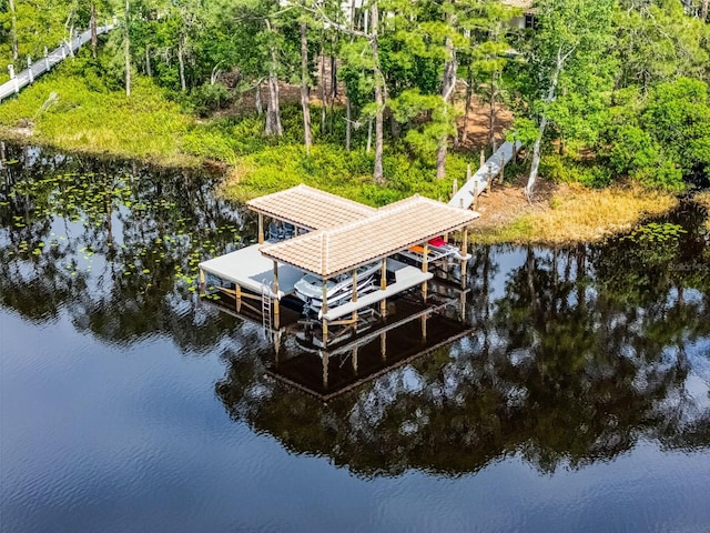 10122 Royal Island Ct, Orlando, FL 32836 - dock featuring boat lift and a water view