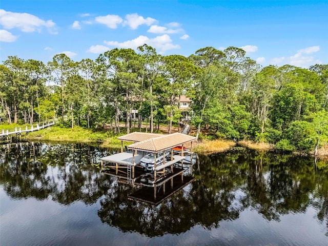 10122 Royal Island Ct, Orlando, FL 32836 - dock featuring a water view and boat lift