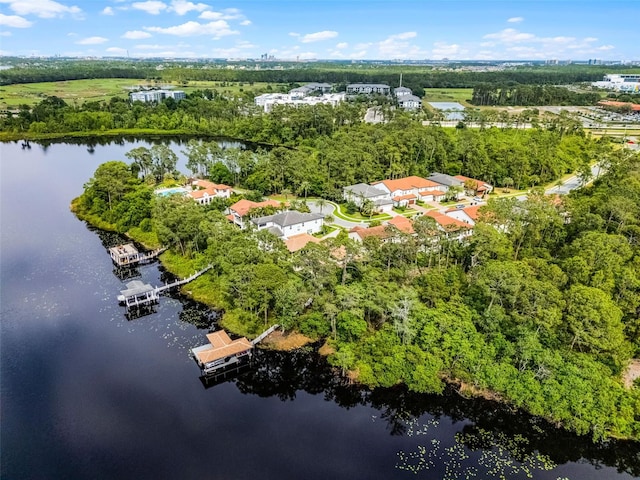 10122 Royal Island Ct, Orlando, FL 32836 - aerial view of property's location with a large body of water and a tree filled landscape