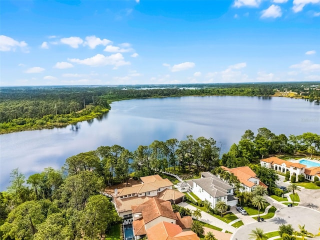 10122 Royal Island Ct, Orlando, FL 32836 - aerial view of a nearby body of water and a heavily wooded area
