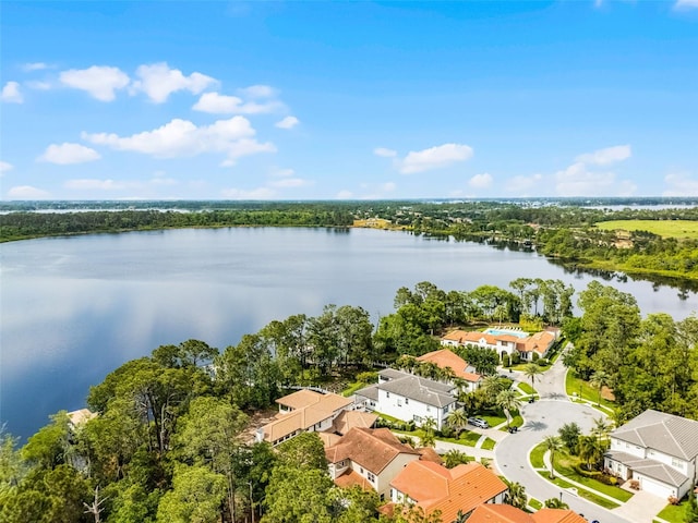 10122 Royal Island Ct, Orlando, FL 32836 - bird's eye view of a nearby body of water