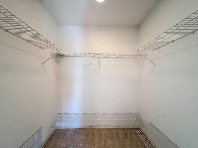 6147 N Whispering Oak Loop, Beverly Hills, FL 34465 - walk in closet featuring carpet flooring