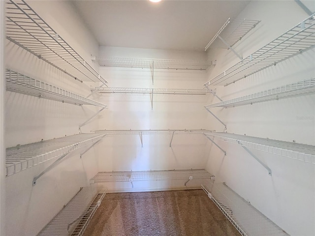 6147 N Whispering Oak Loop, Beverly Hills, FL 34465 - view of spacious closet