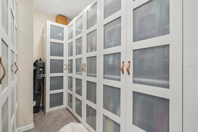 walk in closet with carpet floors