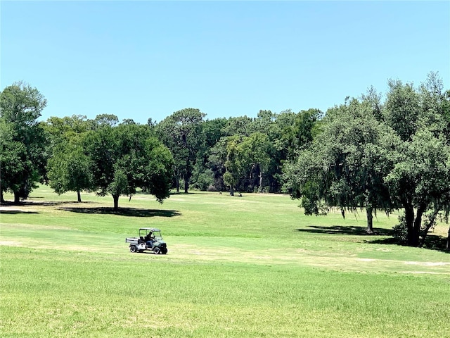 8180 N Duval Dr, Citrus Springs, FL 34434 - view of community with a lawn