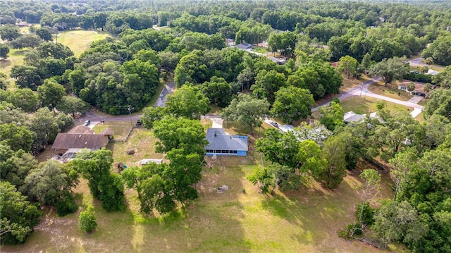 8180 N Duval Dr, Citrus Springs, FL 34434 - aerial overview of property's location with a heavily wooded area