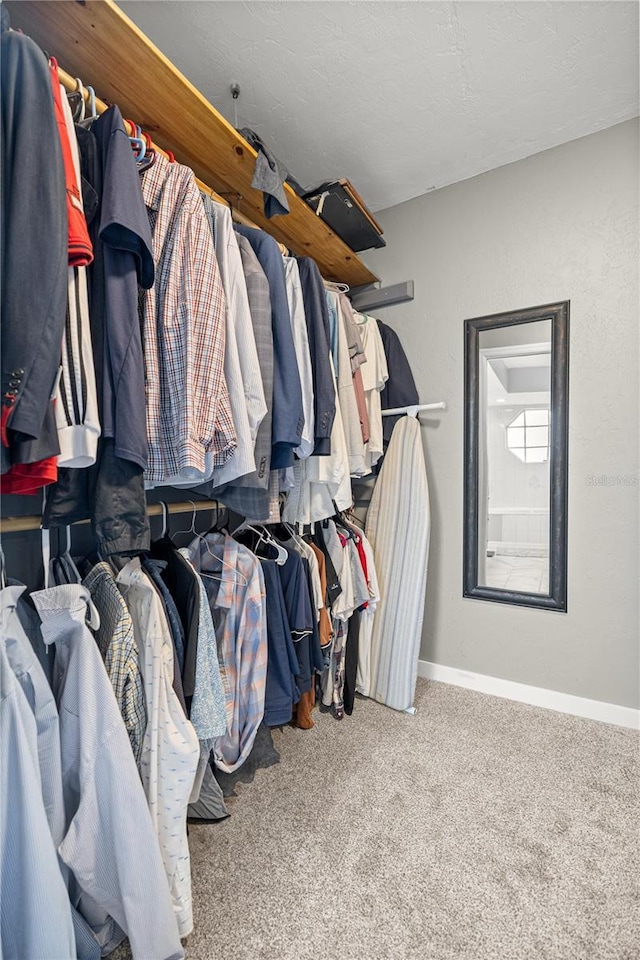 8180 N Duval Dr, Citrus Springs, FL 34434 - walk in closet with carpet flooring