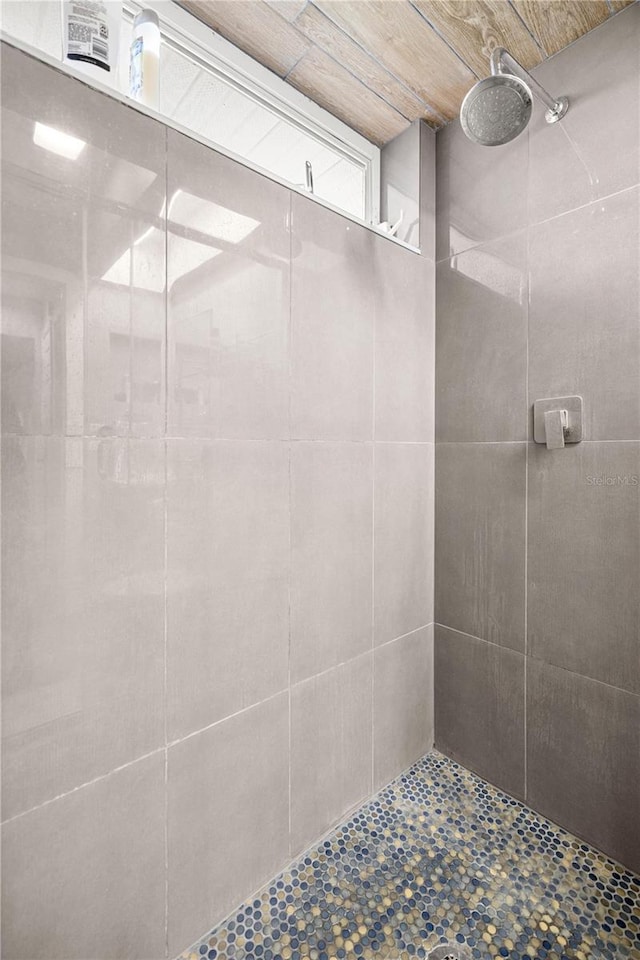 8180 N Duval Dr, Citrus Springs, FL 34434 - bathroom featuring tiled shower