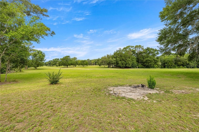 8180 N Duval Dr, Citrus Springs, FL 34434 - view of green lawn featuring view of wooded area