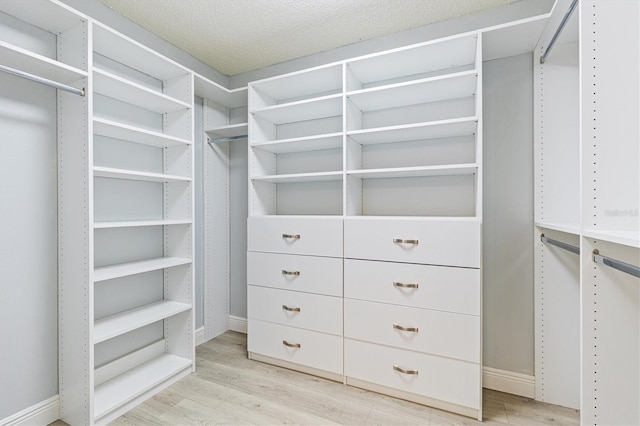 1615 Navidad St, The Villages, FL 32162 - spacious closet featuring light wood-type flooring