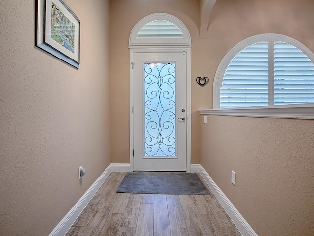 10994 SE 168th Loop, Summerfield, FL 34491 - foyer entrance with wood finished floors, baseboards, and a textured wall