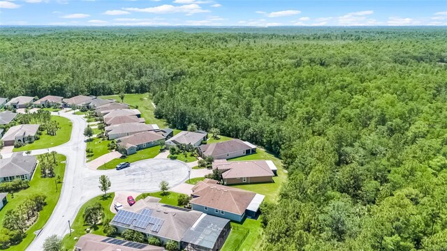 780 Mystic Hill Ct, Poinciana, FL 34759 - photo 69