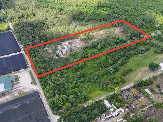 1875 Stone Rd, Pierson, FL 32180