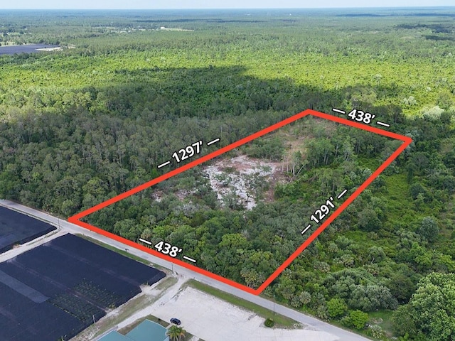 1875 Stone Rd, Pierson, FL 32180