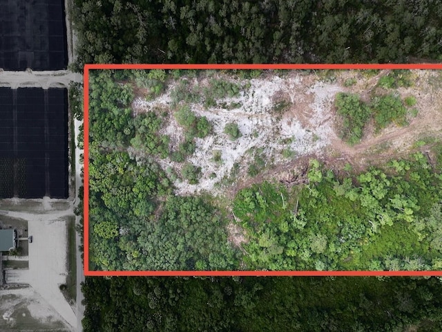 1875 Stone Rd, Pierson, FL 32180