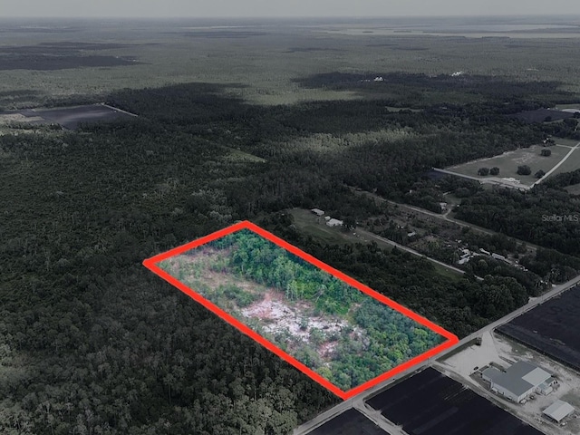 1875 Stone Rd, Pierson, FL 32180