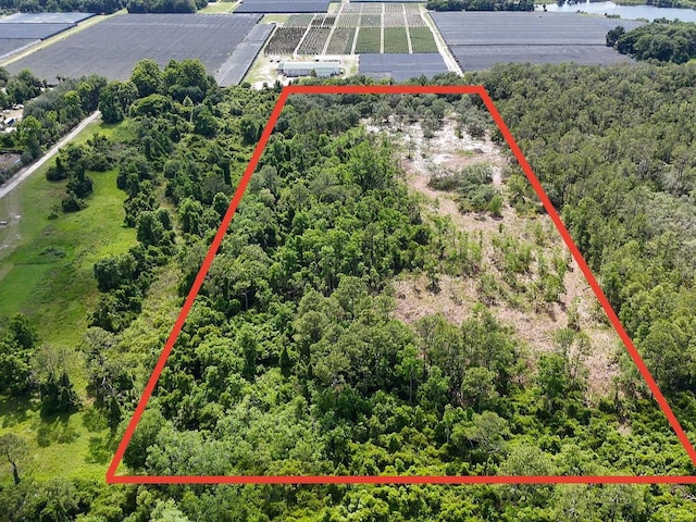 1875 Stone Rd, Pierson, FL 32180