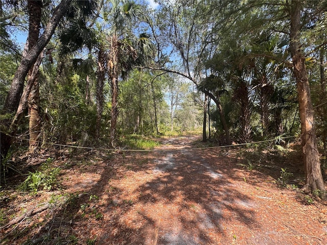 1875 Stone Rd, Pierson, FL 32180