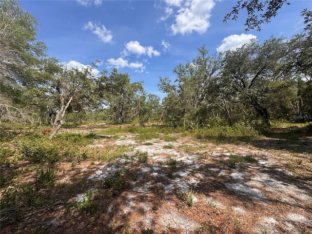 1875 Stone Rd, Pierson, FL 32180