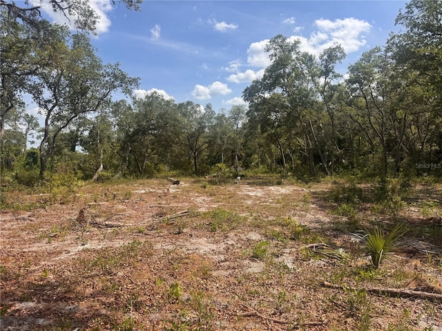 1875 Stone Rd, Pierson, FL 32180