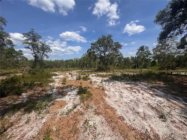 1875 Stone Rd, Pierson, FL 32180