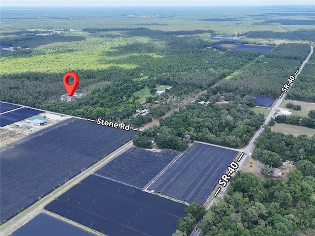 1875 Stone Rd, Pierson, FL 32180