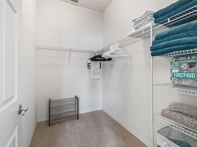 1713 Jadestone Ter, The Villages, FL 32162 - spacious closet featuring carpet