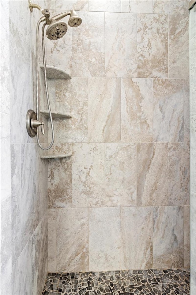 915 N Fox Meadow Ter, Crystal River, FL 34429 - bathroom view of tiled shower