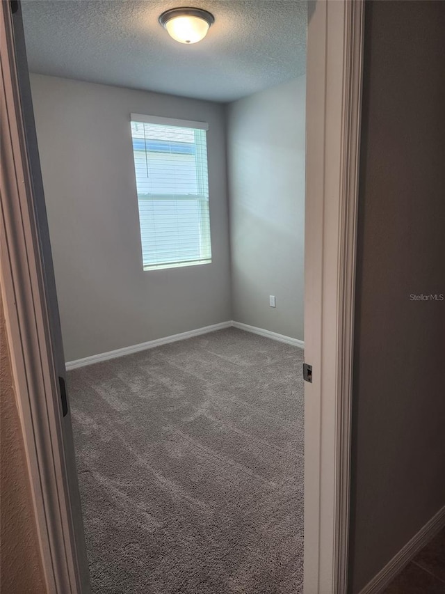 1808 Carnostie Rd, Winter Haven, FL 33884 - unfurnished room featuring a textured ceiling, carpet, and baseboards