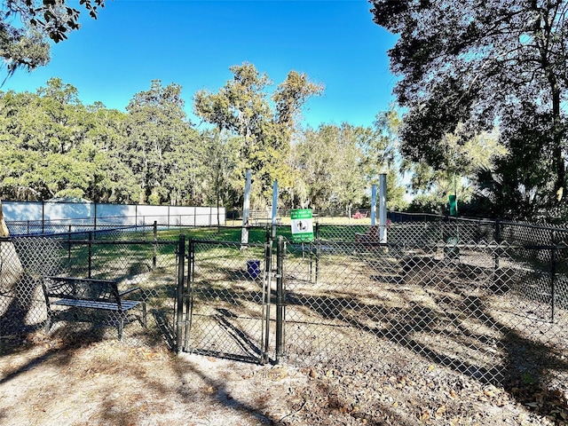 12077 Lakeshore Way, Oxford, FL 34484 - view of yard with a gate and a dog friendly area
