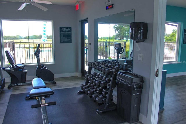 12077 Lakeshore Way, Oxford, FL 34484 - gym with wood finished floors, ceiling fan, healthy amount of natural light, and baseboards