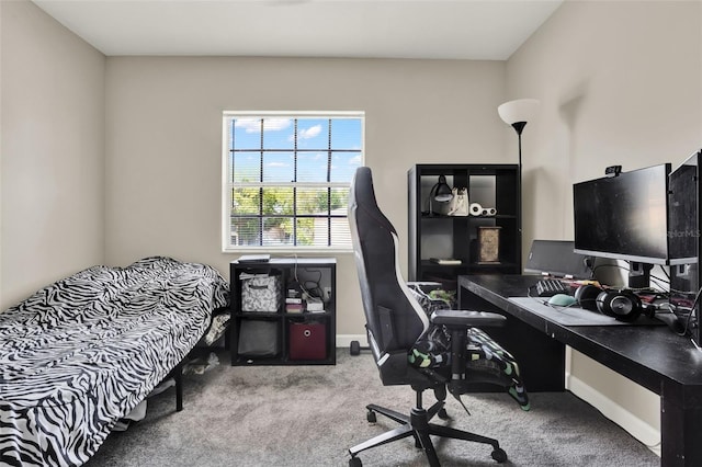 2423 Branch Way Unit 207, Maitland, FL 32751 - office with carpet flooring and baseboards